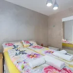 Tao * Vintijan